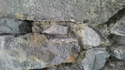 acastle
                          110495.jpg
